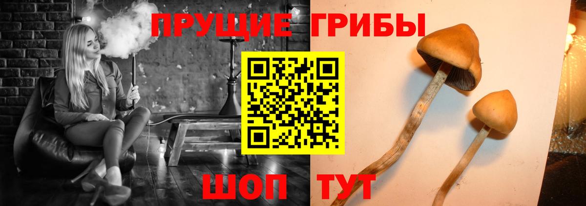 Галлюциногенные грибы мицелий Находка
