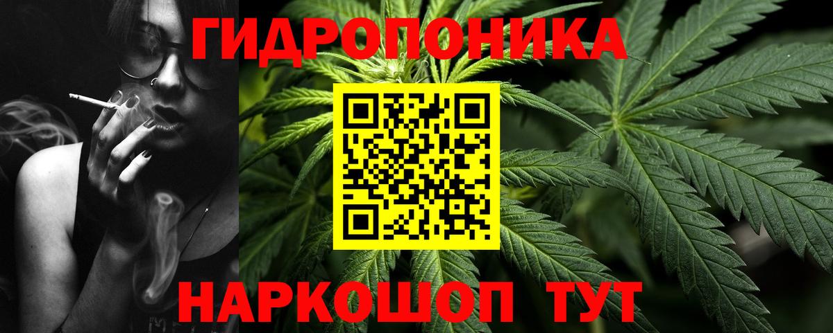 Бошки марихуана Ganja  Вход с VPN  Находка  Канабис индика  Шишки марихуана VHQ 